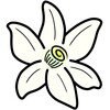 直播荣成 